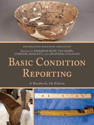 cover image of Basic Condition Reporting